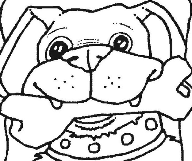 dibujos de perros para colorear diseñoscreativos.com portada
